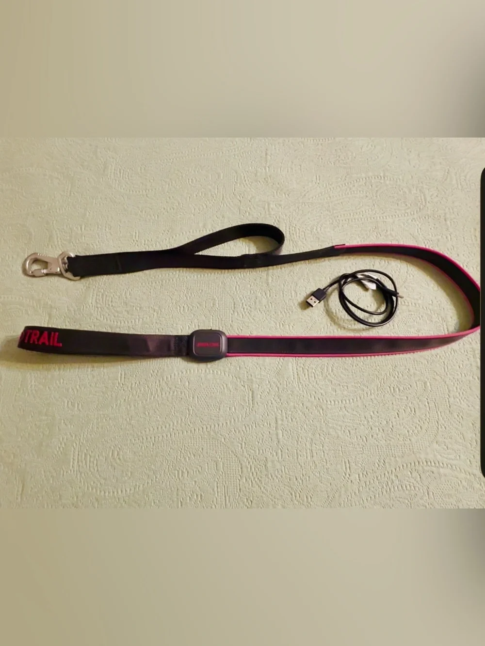 Arcadia Trail light up LED dog leash, rechargeable 3 modes, like new.